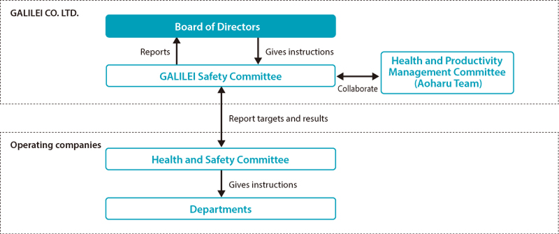 Health and Safety Promotion Structure